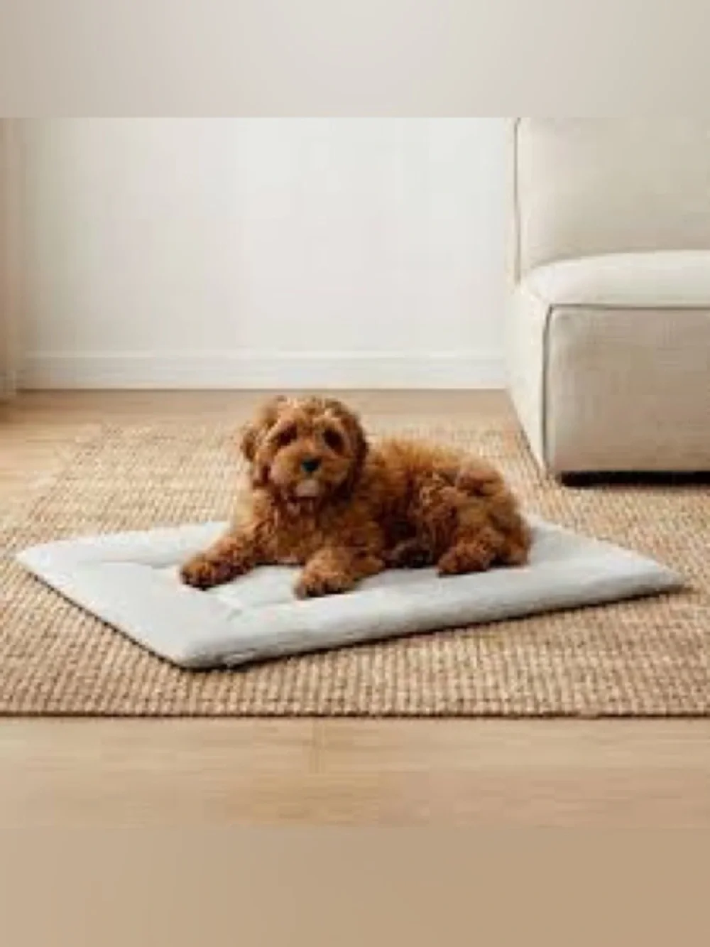 KindTail PAWD Dog Crate Pad Soft Reversible Sleeping 20” x 15.5” x 1” Soft Gray